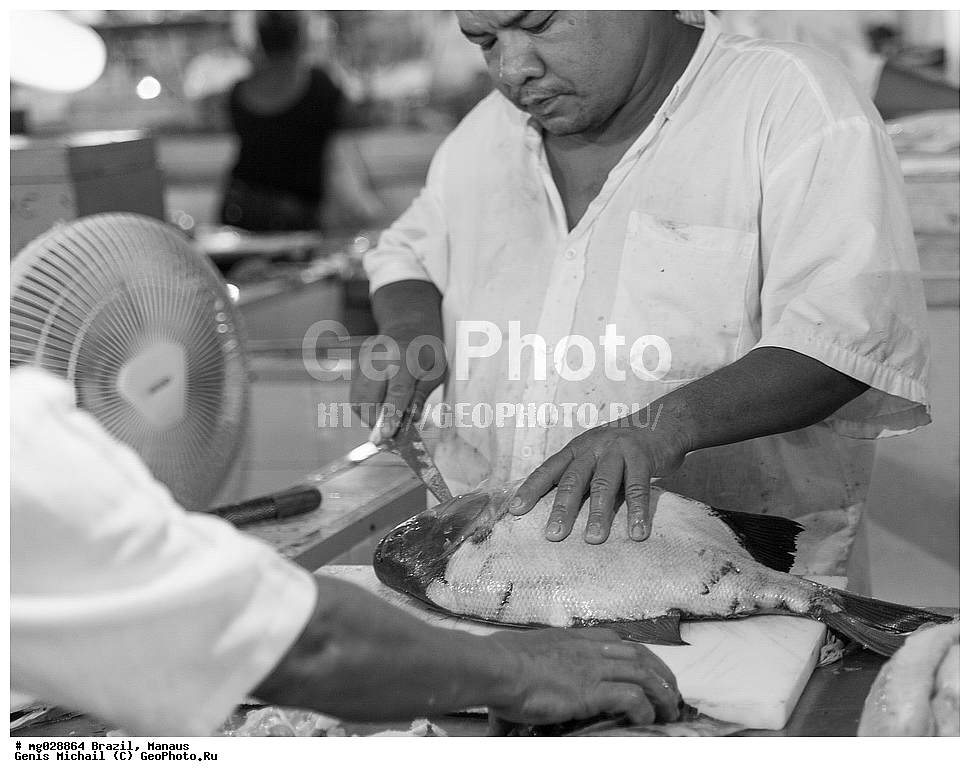  ��������, ������, ������ ����� 