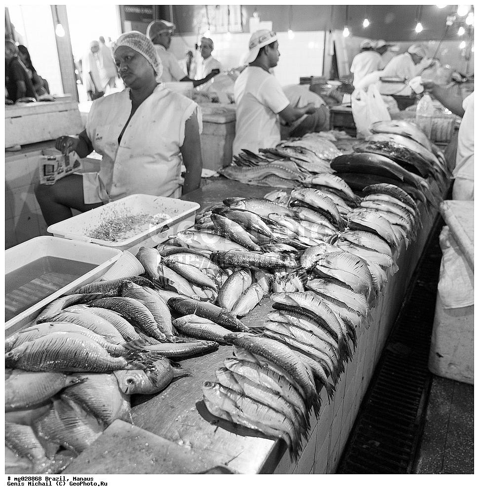  ��������, ������, ������ ����� 