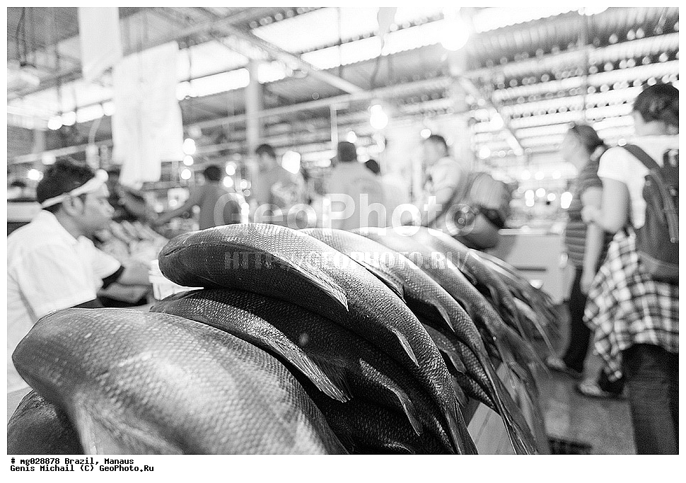  ��������, ������, ������ ����� 