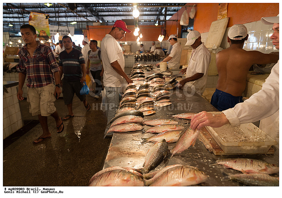  ��������, ������, ������ ����� 