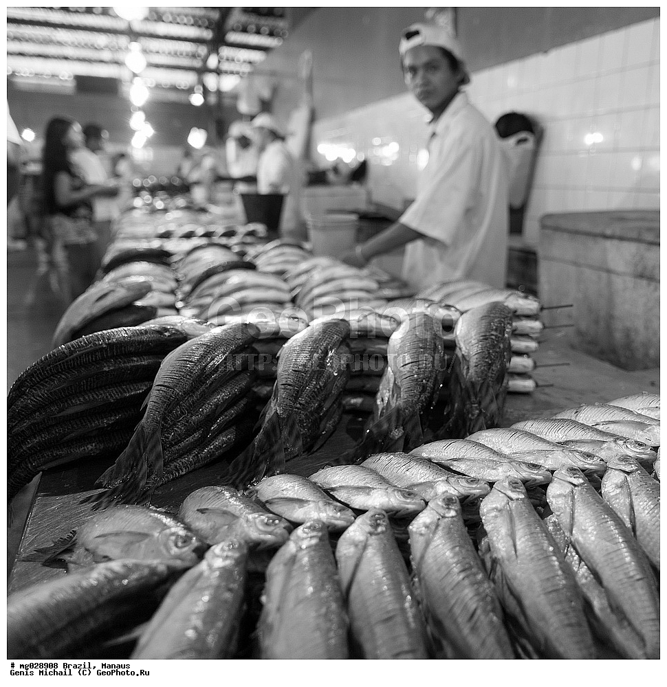  ��������, ������, ������ ����� 