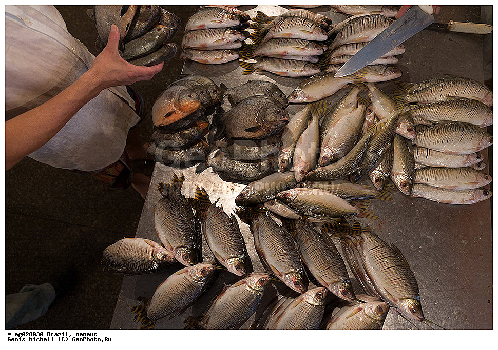  ��������, ������, ������ ����� 