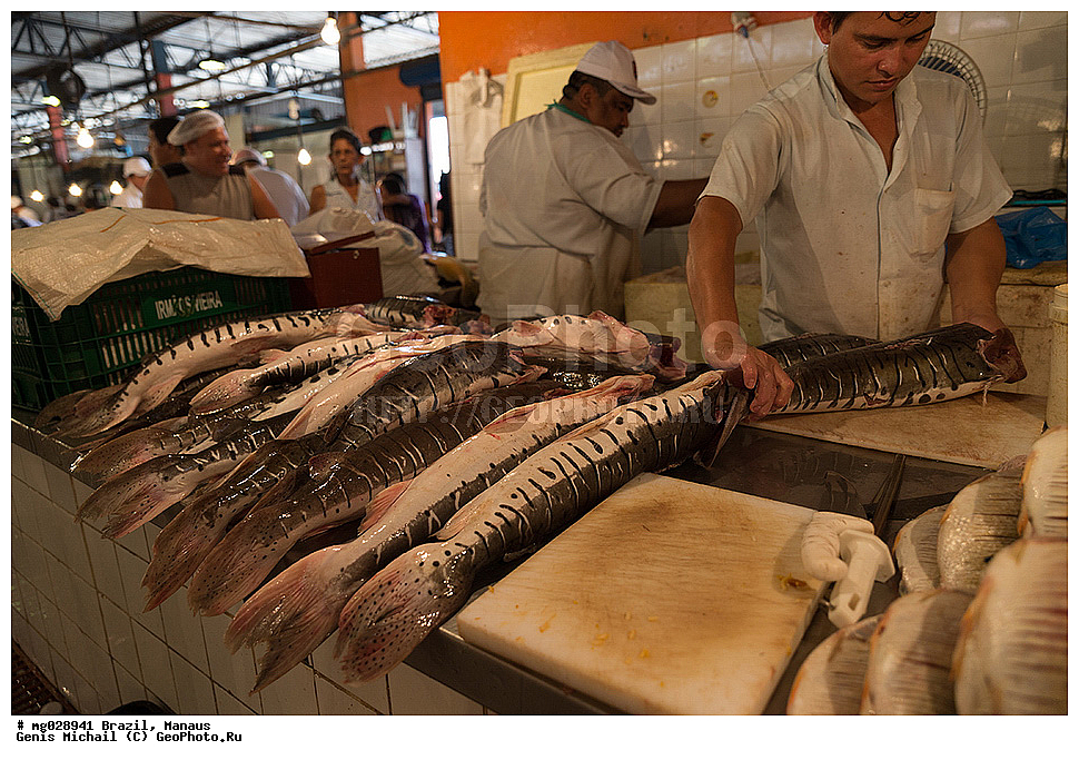  ��������, ������, ������ ����� 