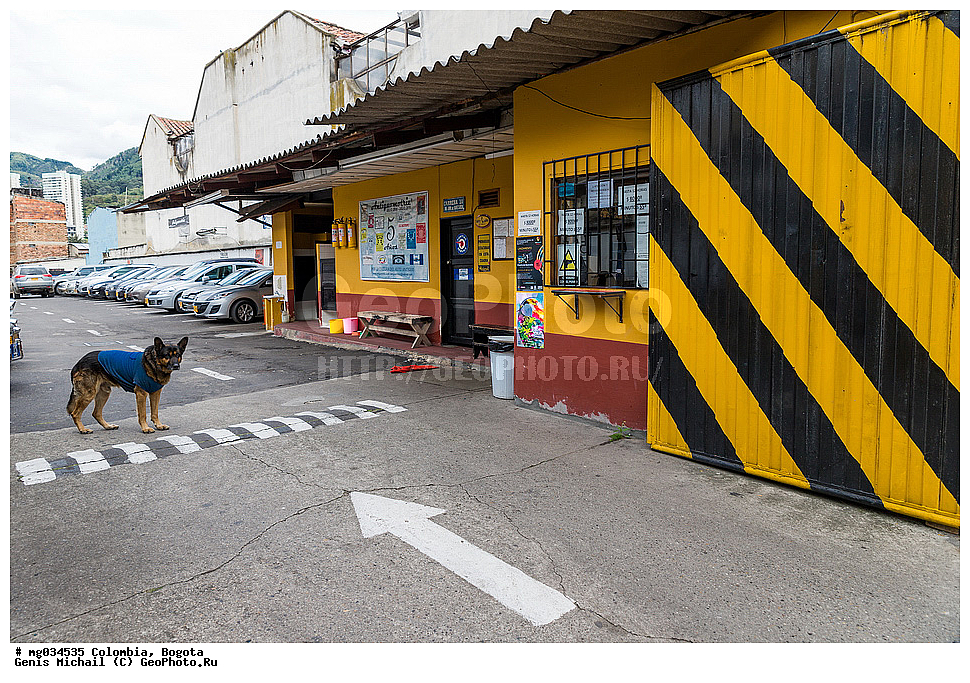 ��������, ������