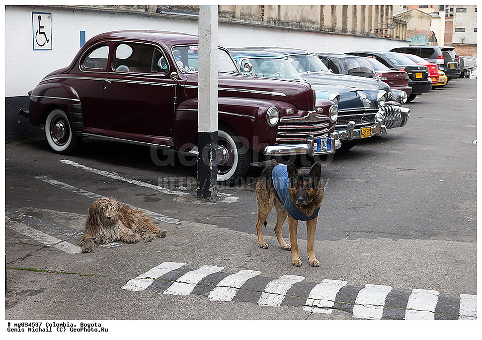 ��������, ������