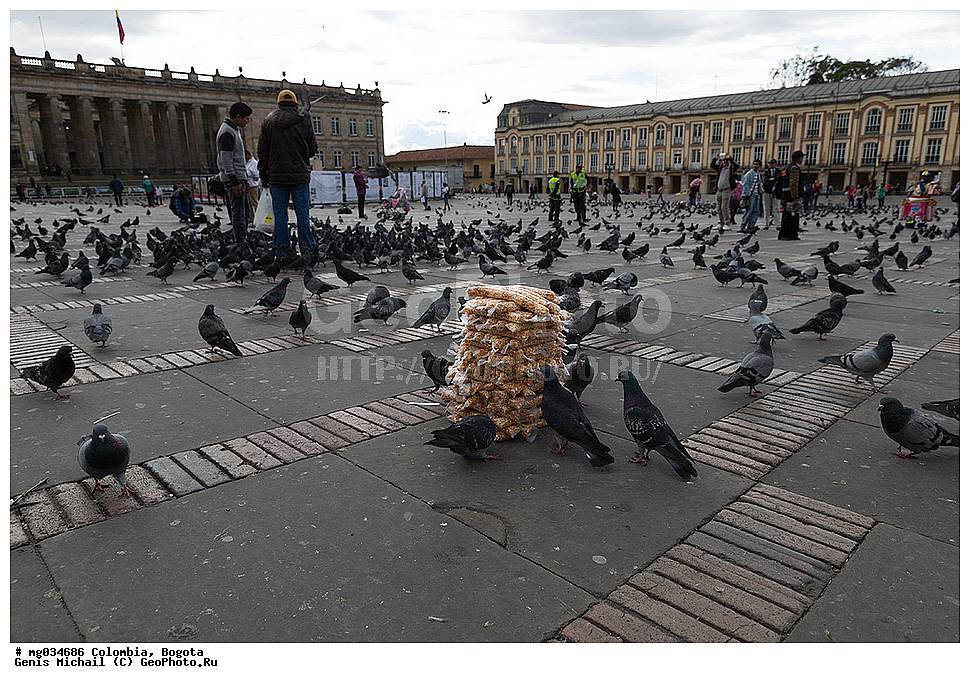 ��������, ������