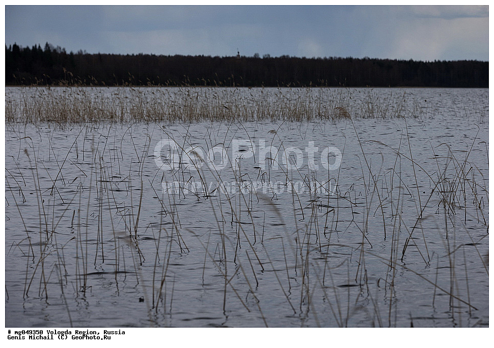 ����������� �������, �����������, �������, �������