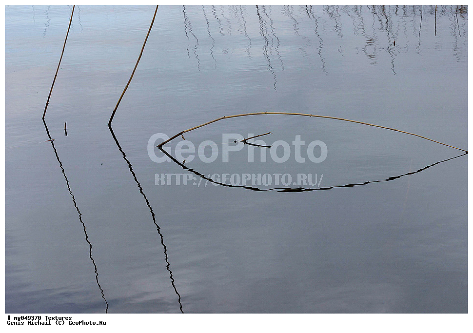 ������, ��������, ����