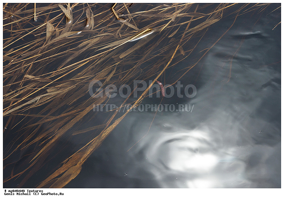 ������, ��������, ����