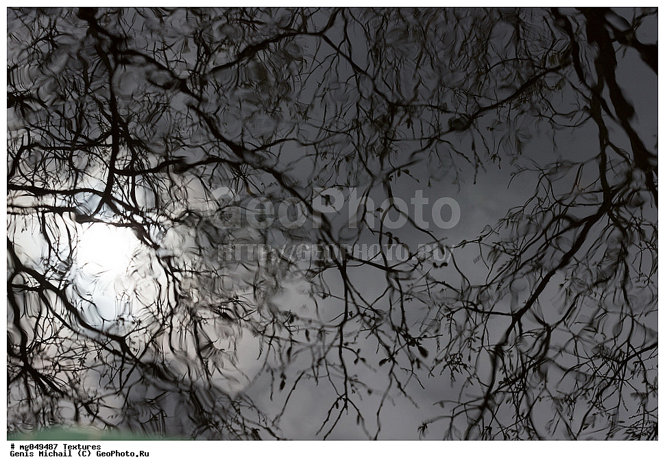 ������, ��������, ����