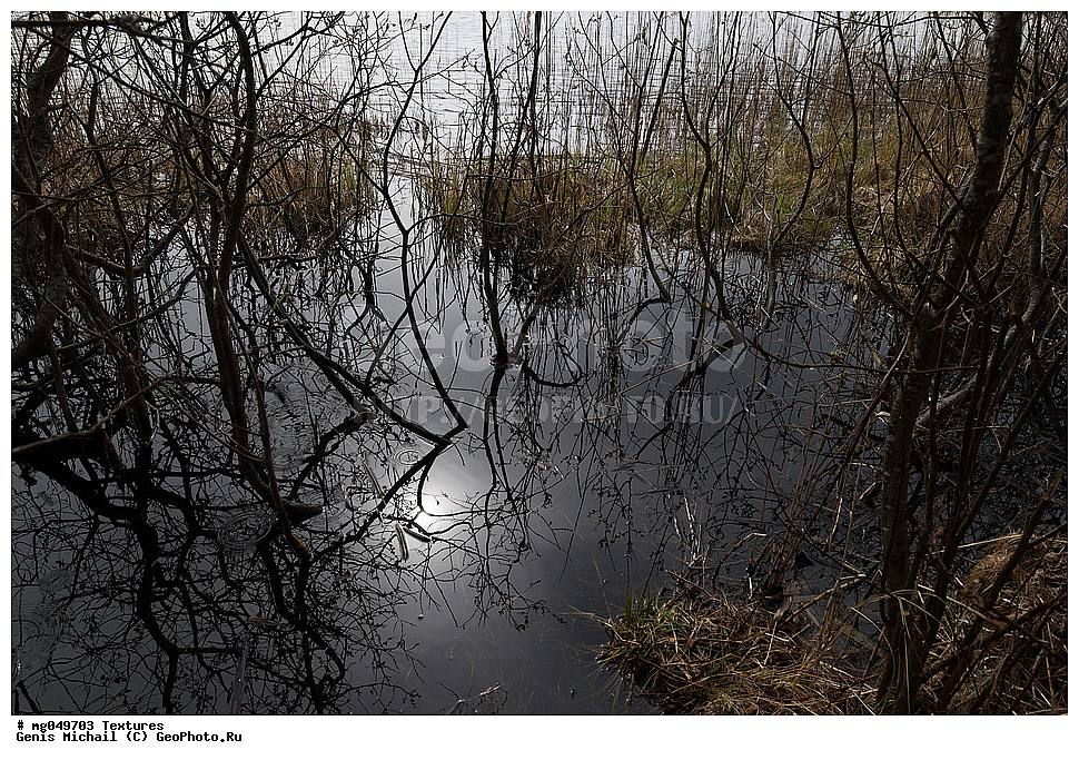 ������, ��������, ����