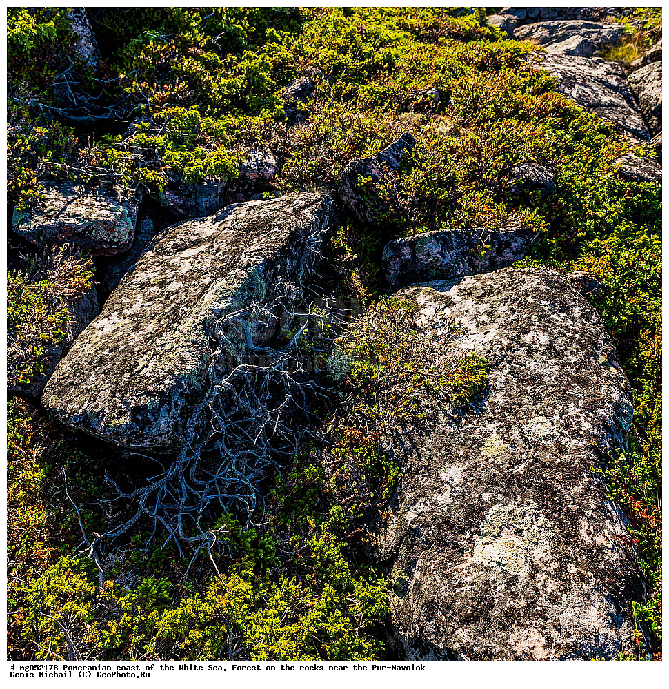 ���, ���-�������, ����� ����, ����, �����, ��������� �����, ���, �� ������, �����