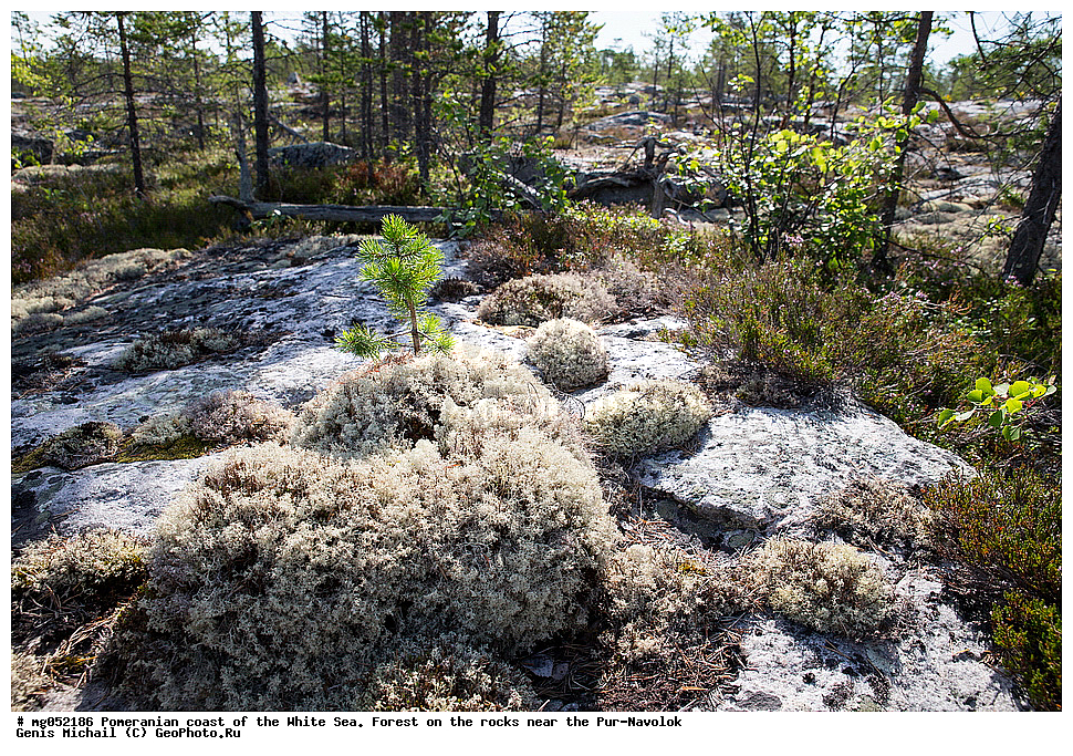 ���, ���-�������, ����� ����, ����, �����, ��������� �����, ���, �� ������, �����