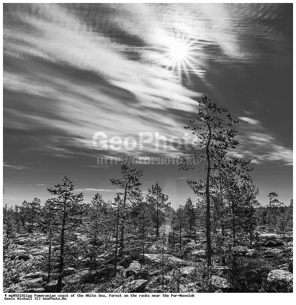 ���, ���-�������, ����� ����, ����, �����, ��������� �����, ���, �� ������, �����