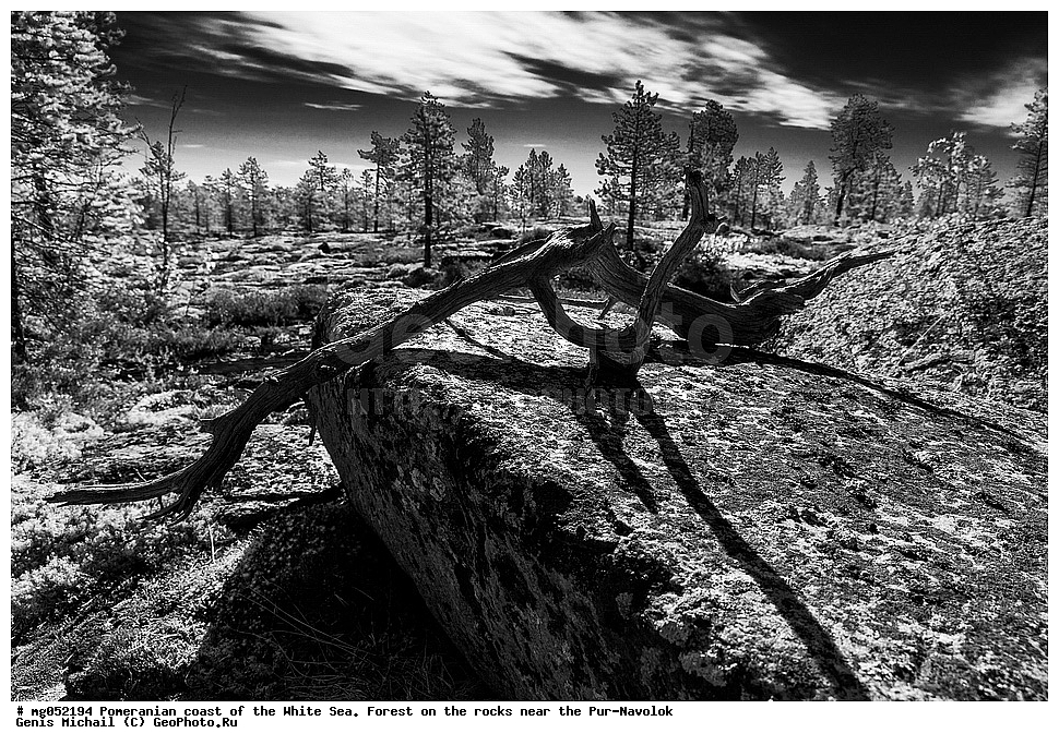 ���, ���-�������, ����� ����, ����, �����, ��������� �����, ���, �� ������, �����