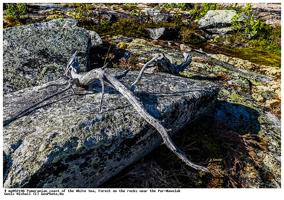 ���, ���-�������, ����� ����, ����, �����, ��������� �����, ���, �� ������, �����