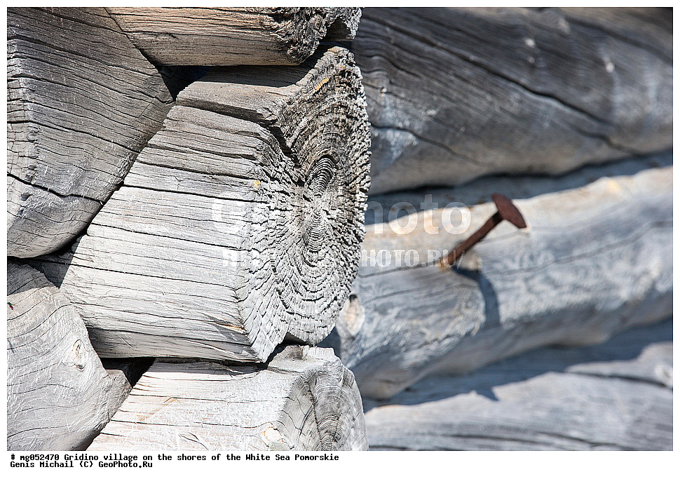 �������, �����, ����, �������, ���������� ����, ����, ������ �������, ����, ����� ����