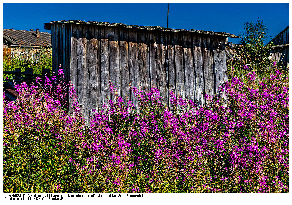 �������, �����, ����, �������, ���������� ����, ����, ������ �������, ����, ����� ����