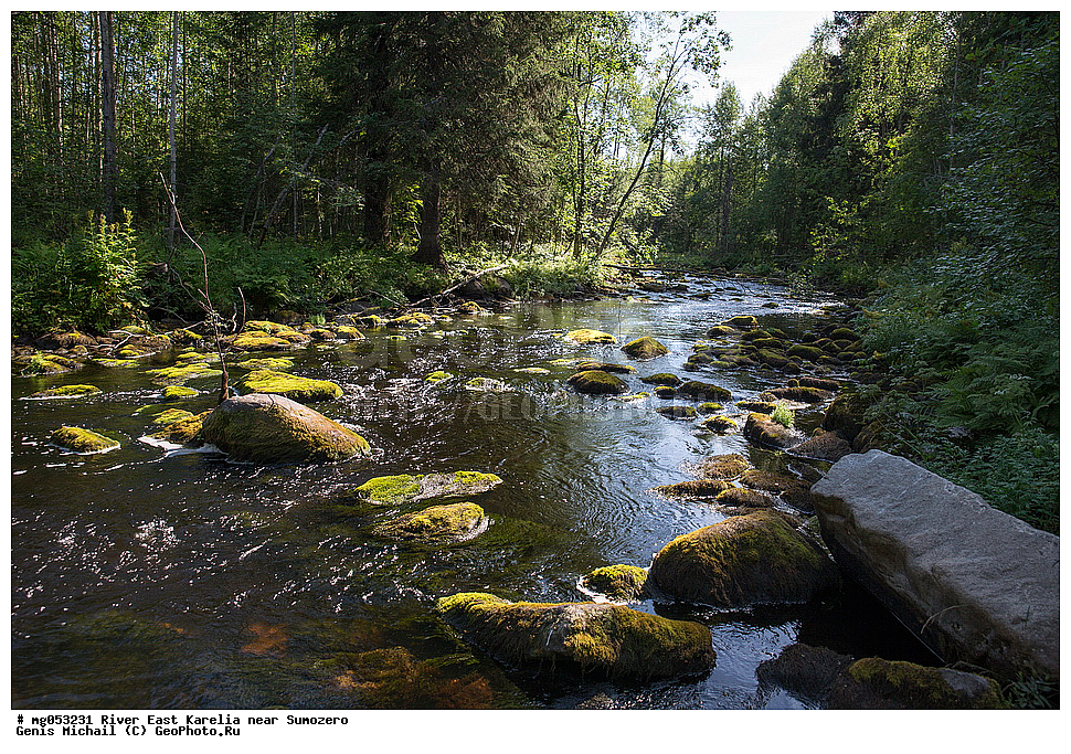 ����, ��������� �������, ��������, ����, ������ ����, �����, �������