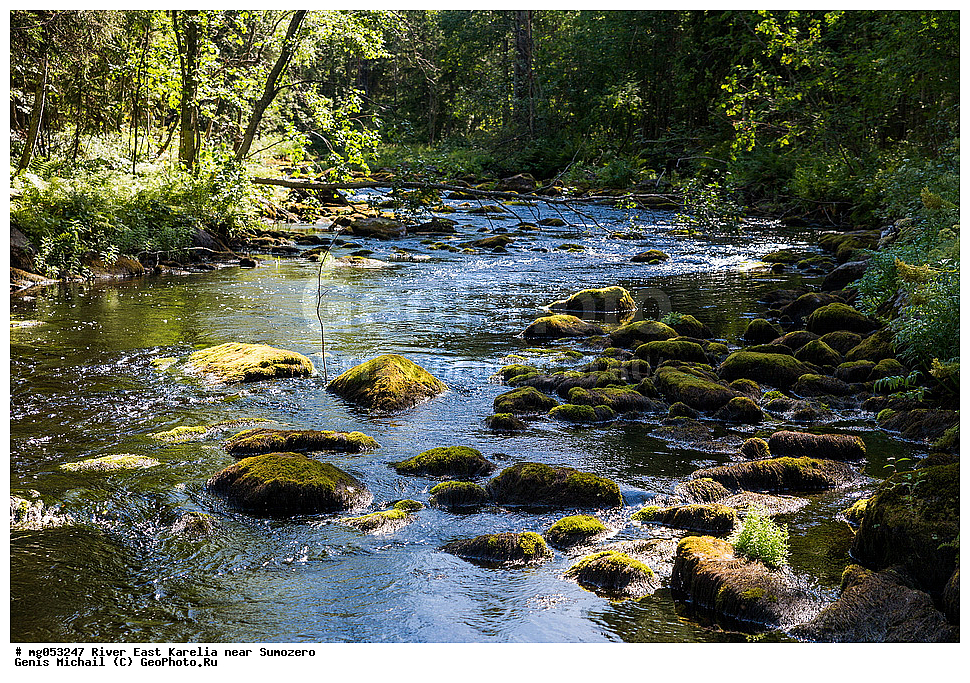 ����, ��������� �������, ��������, ����, ������ ����, �����, �������