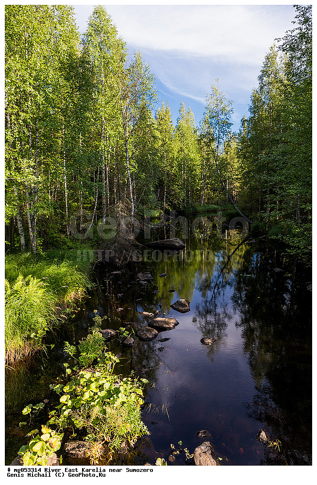 ����, ��������� �������, ��������, ����, ������ ����, �����, �������