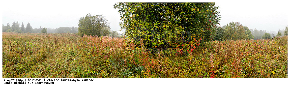 ����������� �������, ��������, ������