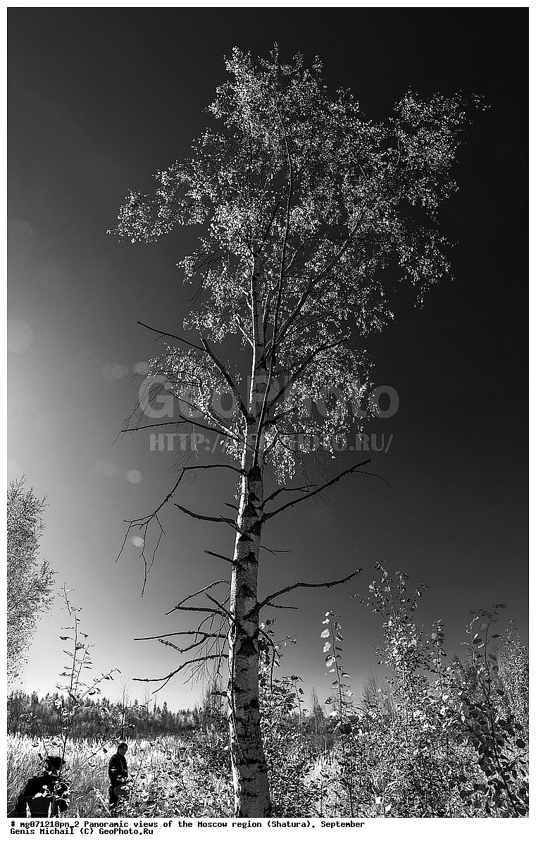 ������, ��������, ���������� �������, ��������, ������