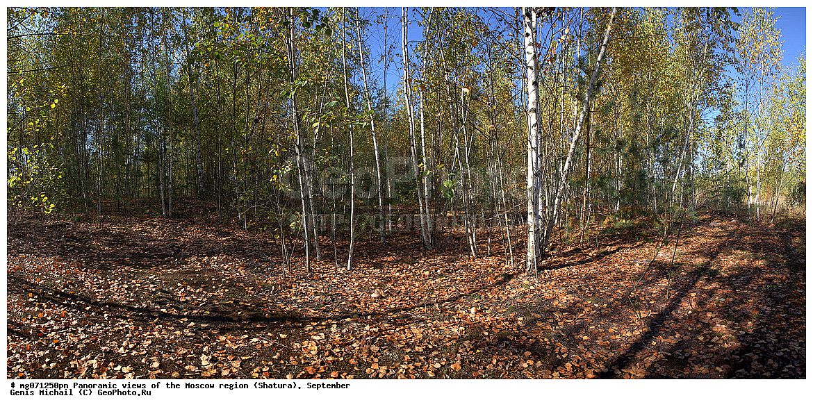 ������, ��������, ���������� �������, ��������, ������