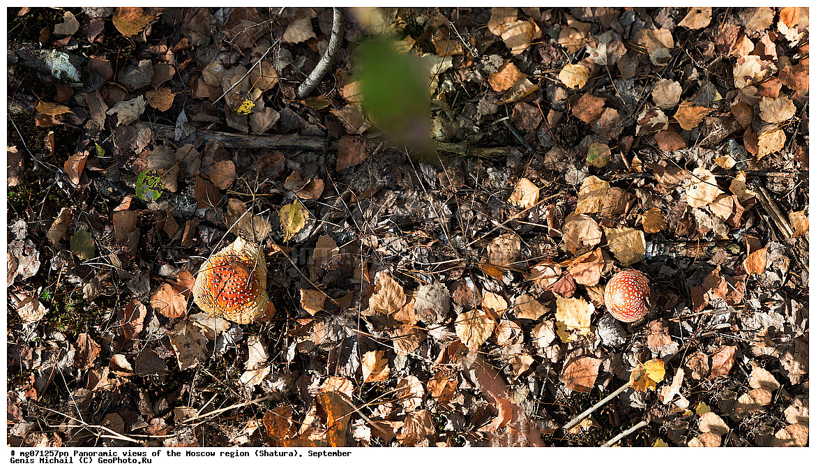 ������, ��������, ���������� �������, ��������, ������