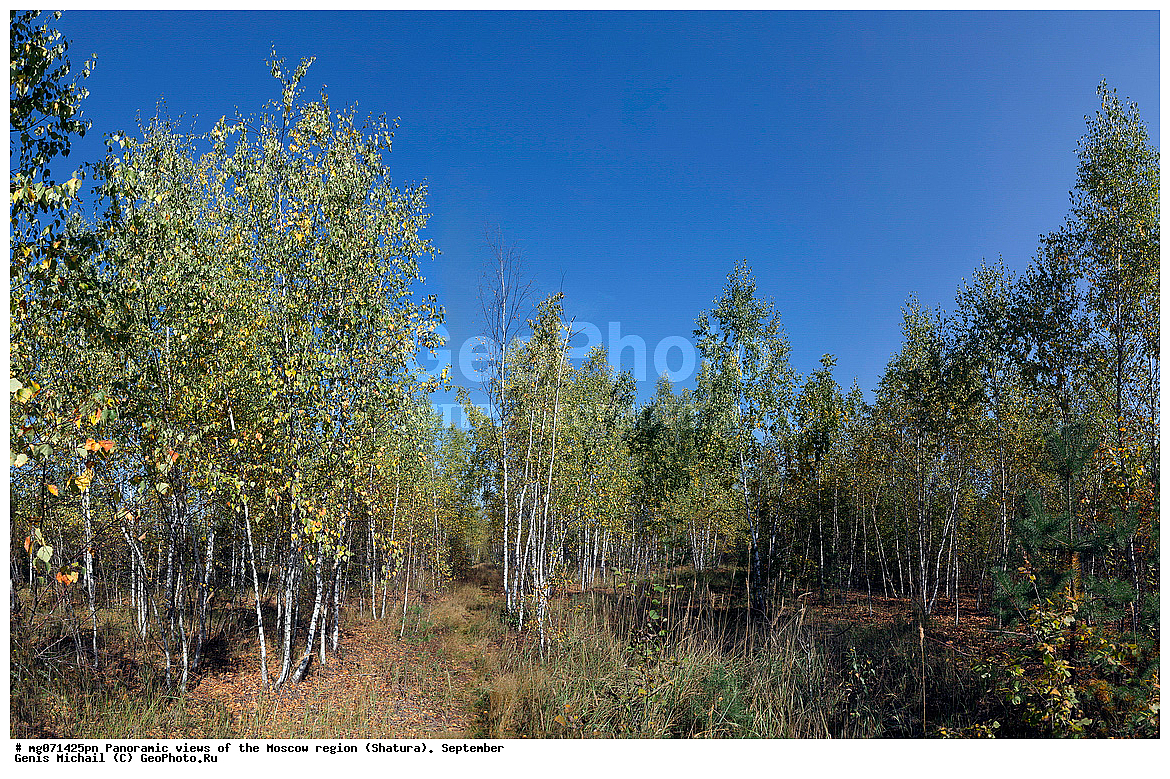 ������, ��������, ���������� �������, ��������, ������