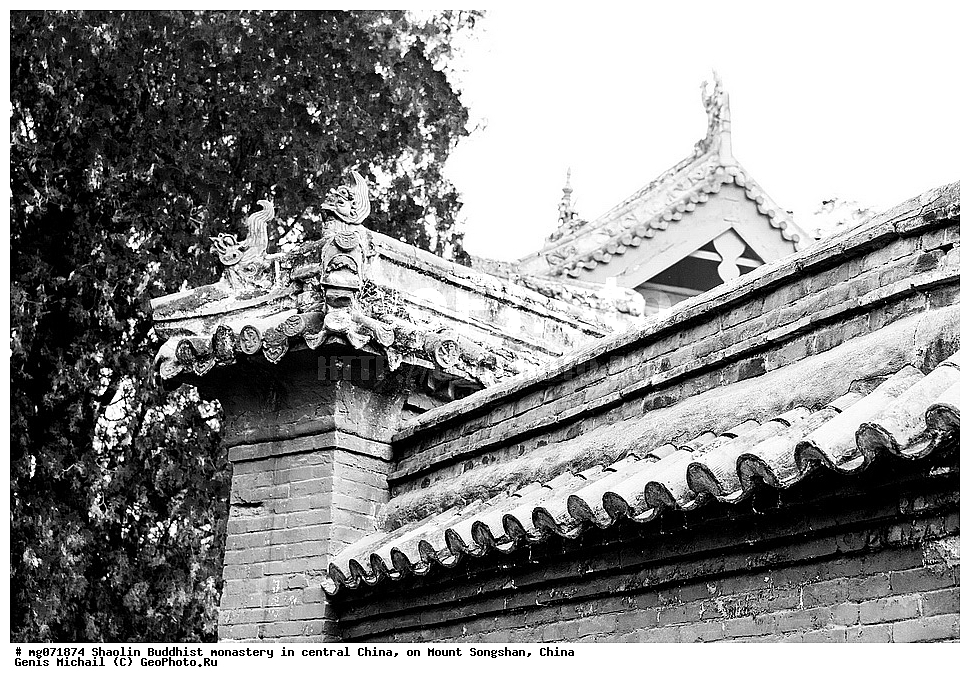 �������, �������, ���������, ����, ��������, �����