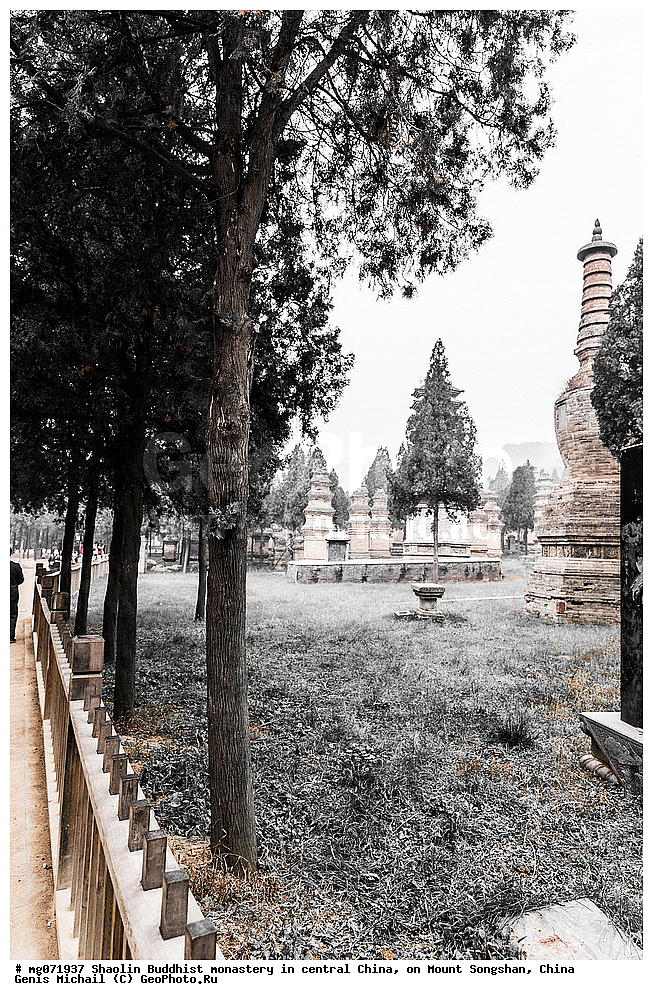 �������, �������, ���������, ����, ��������, �����