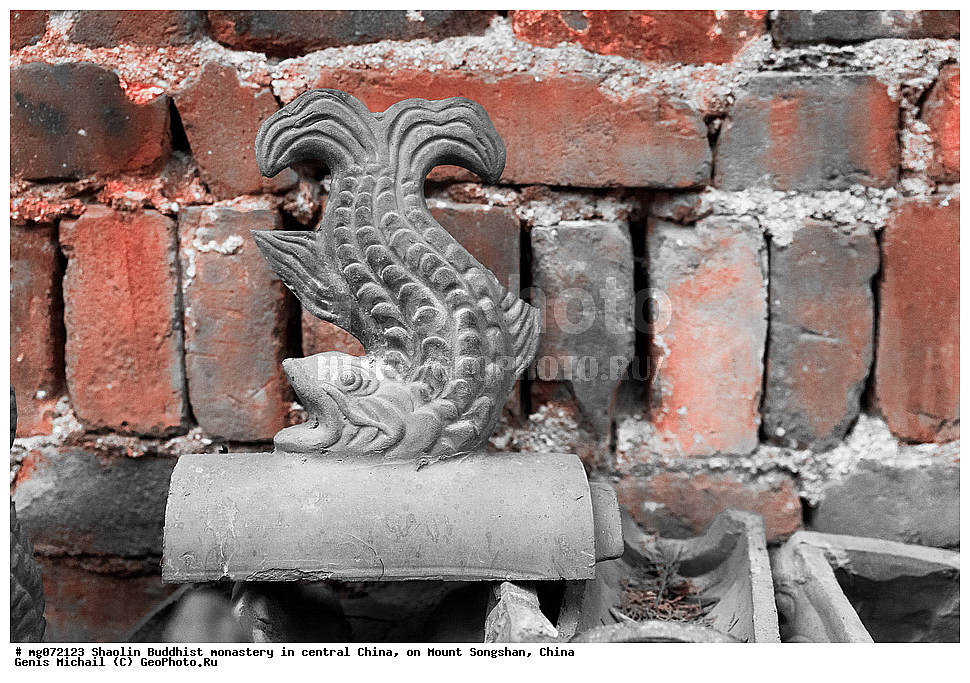 �������, �������, ���������, ����, ��������, �����