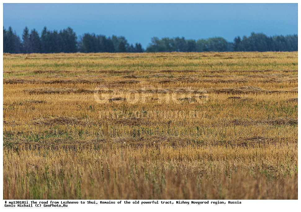 �������, ���, ������, ������, ��������, ������������� �������, ������, ������ �� ������� �� ���. ������� ������� �������� ���������� ������. ������������� �������, ������