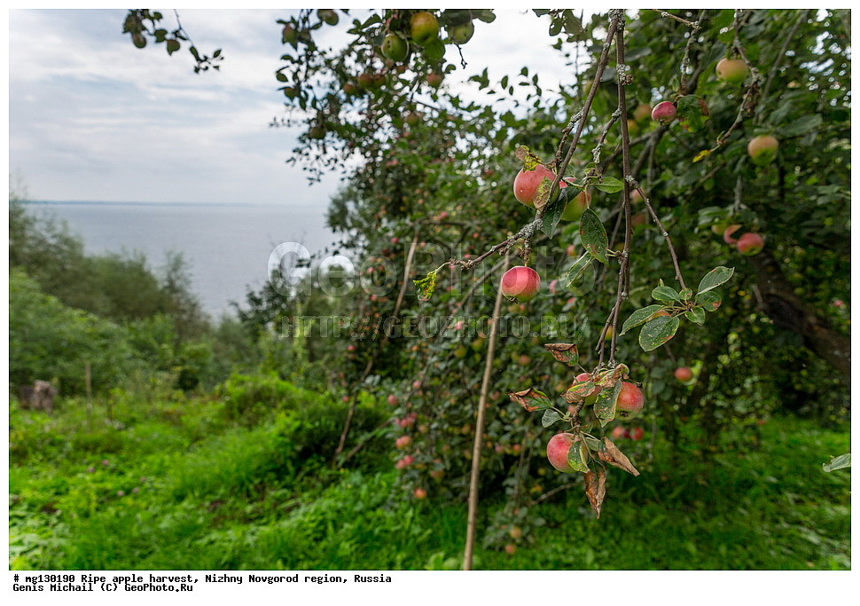 ������, ������, �����, ������, ������������� �������, ������