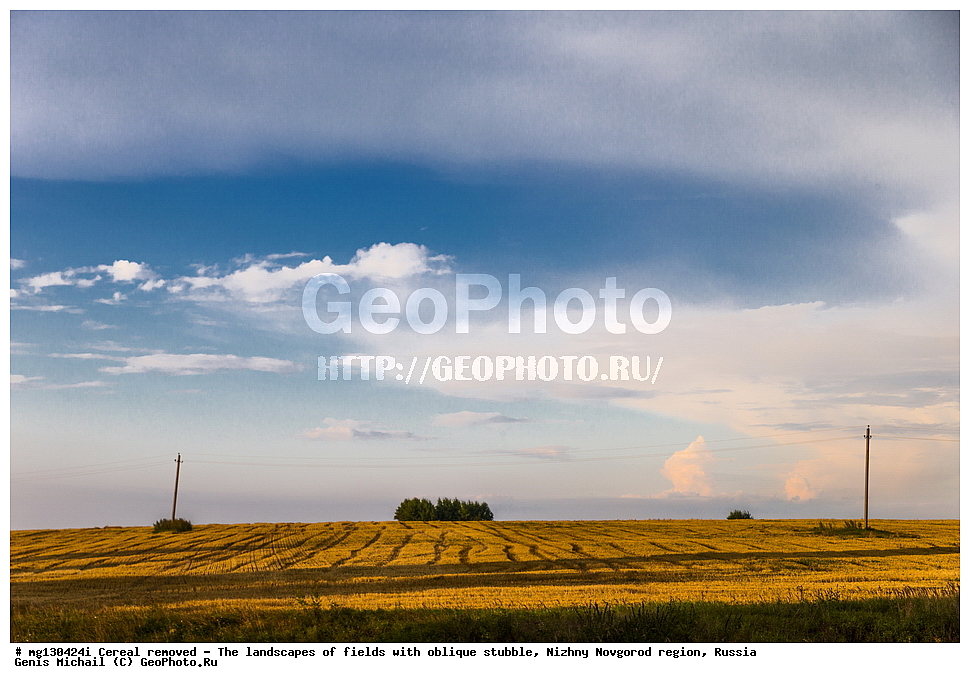 ���������, ����, ������, ������������� �������, ������, �������, ������