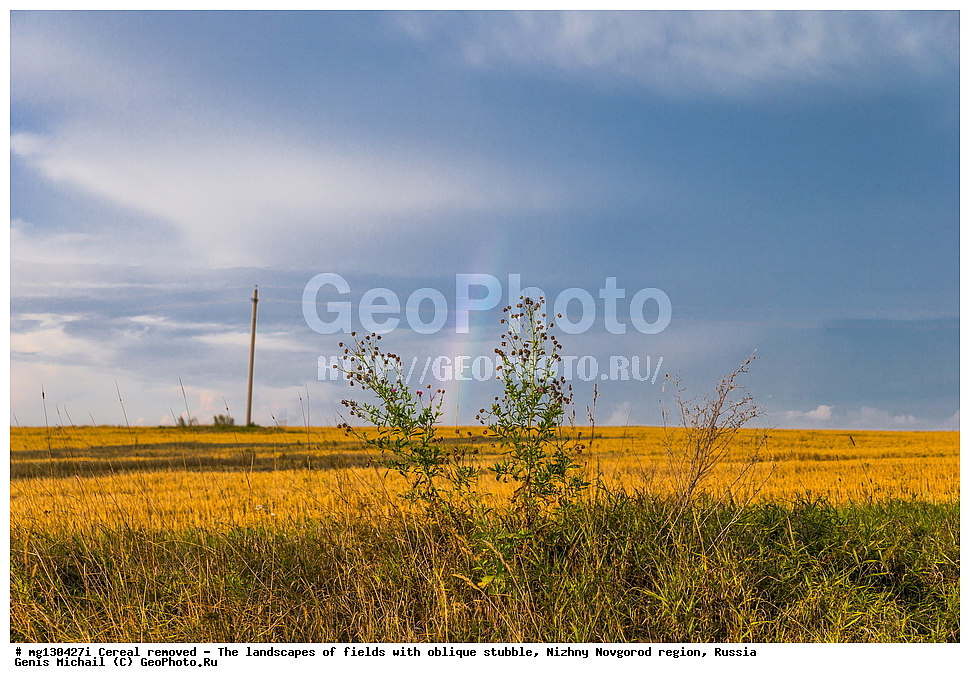 ���������, ����, ������, ������������� �������, ������, �������, ������