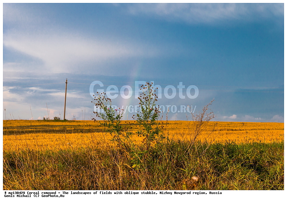 ���������, ����, ������, ������������� �������, ������, �������, ������