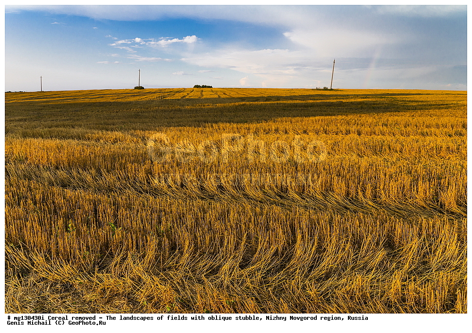 ���������, ����, ������, ������������� �������, ������, �������, ������