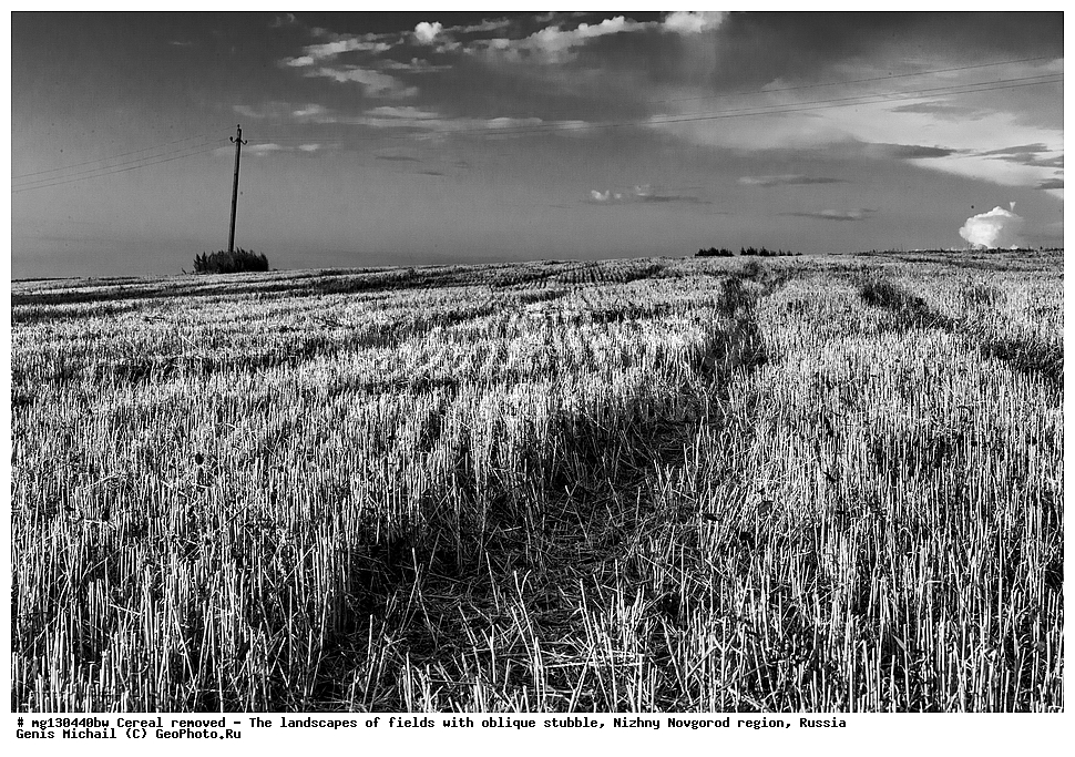 ���������, ����, ������, ������������� �������, ������, �������, ������