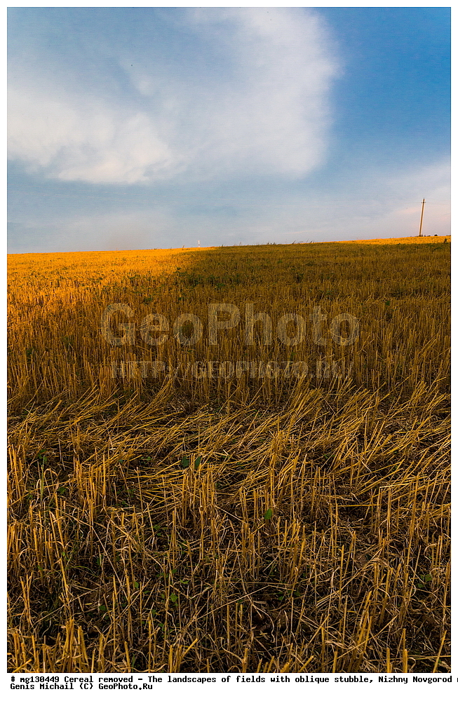 ���������, ����, ������, ������������� �������, ������, �������, ������