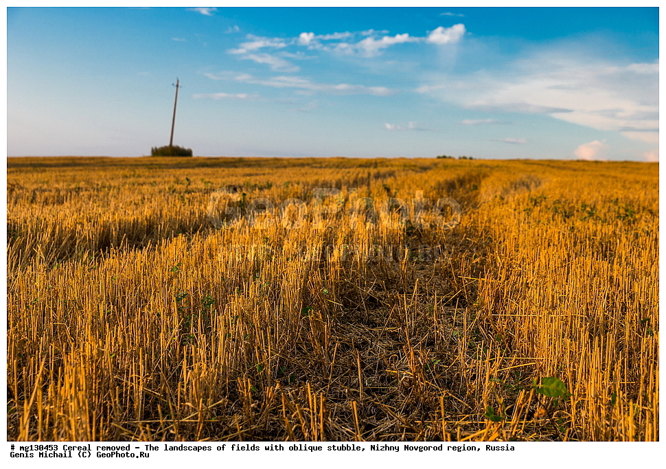 ���������, ����, ������, ������������� �������, ������, �������, ������