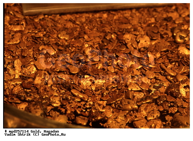 ������� ����, ������