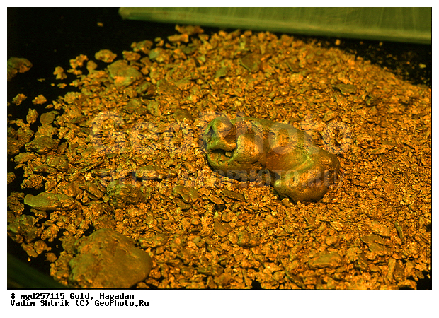 ������� ����, ������