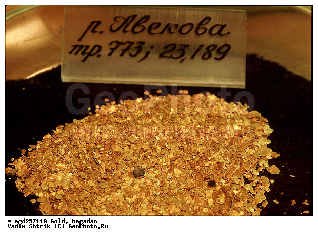 ������� ����, ������