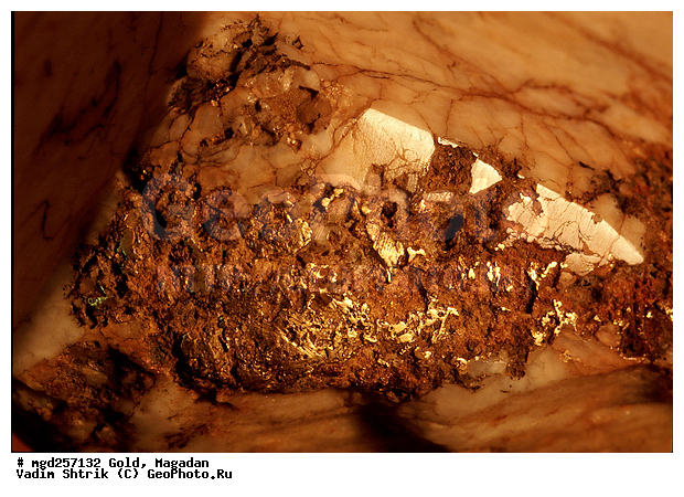 ������� ����, ������