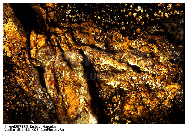 ������� ����, ������