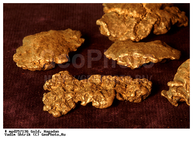 ������� ����, ������