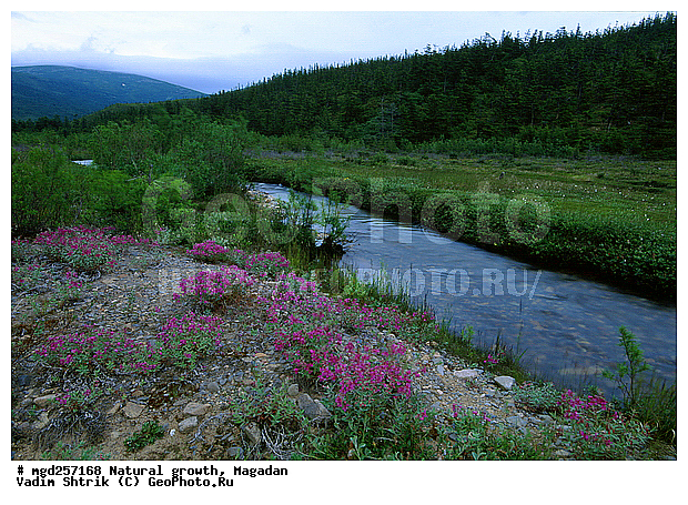 ���������� ��������������, ��������, ����, �����