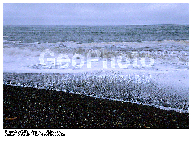 �������� ����, ��������� �����, ����, ����, ������